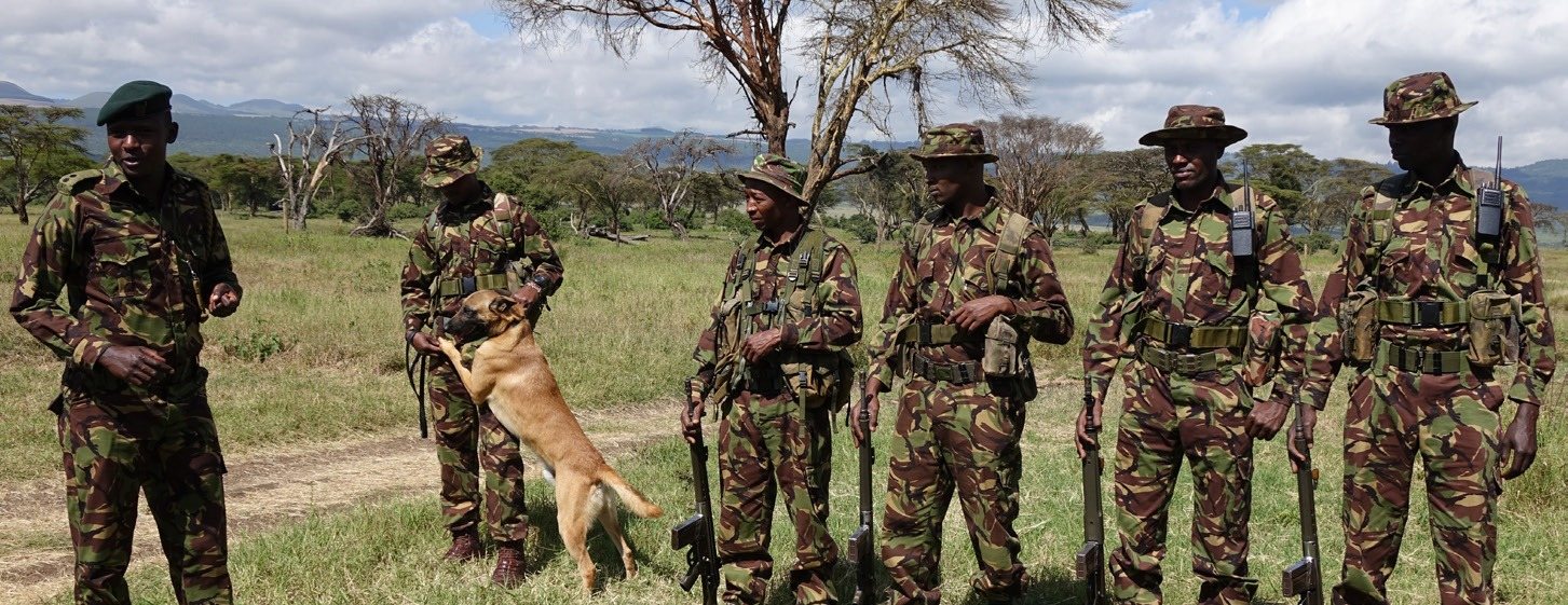 Uniformed wardens with a dog in open grassland
